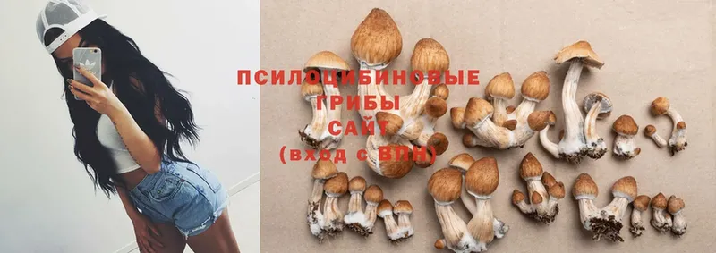 Галлюциногенные грибы GOLDEN TEACHER  Байкальск 